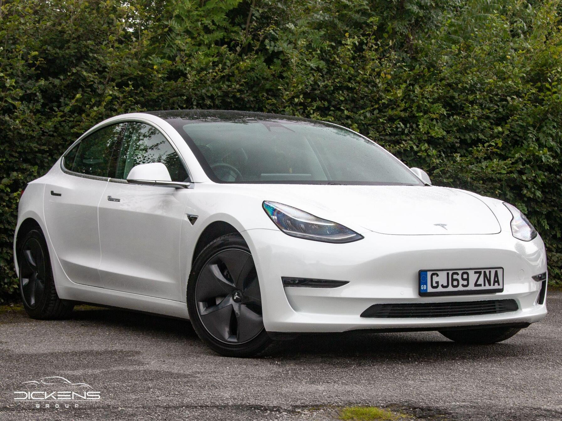 2019 Tesla model 3 dual