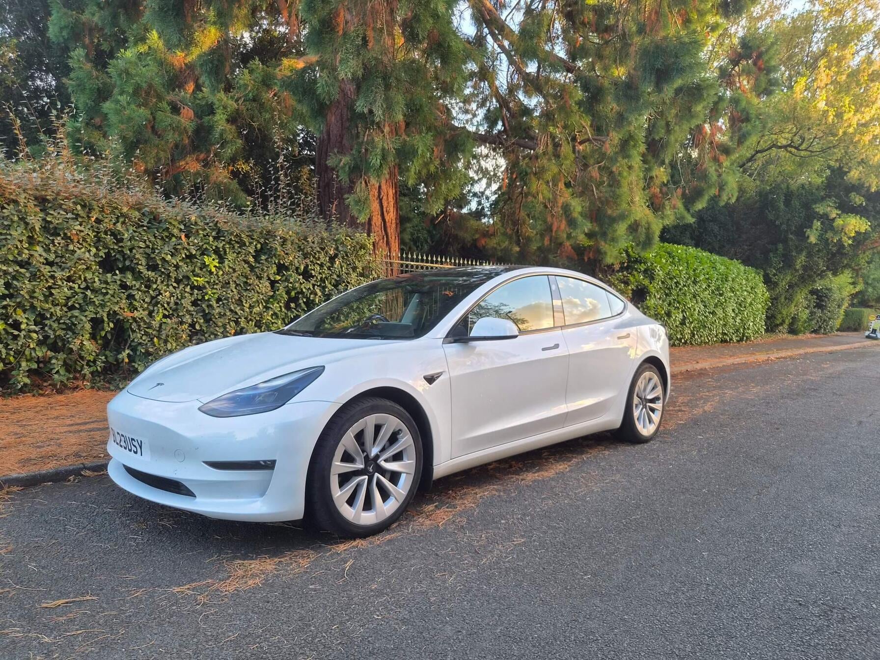 2023 Tesla model 3 dual