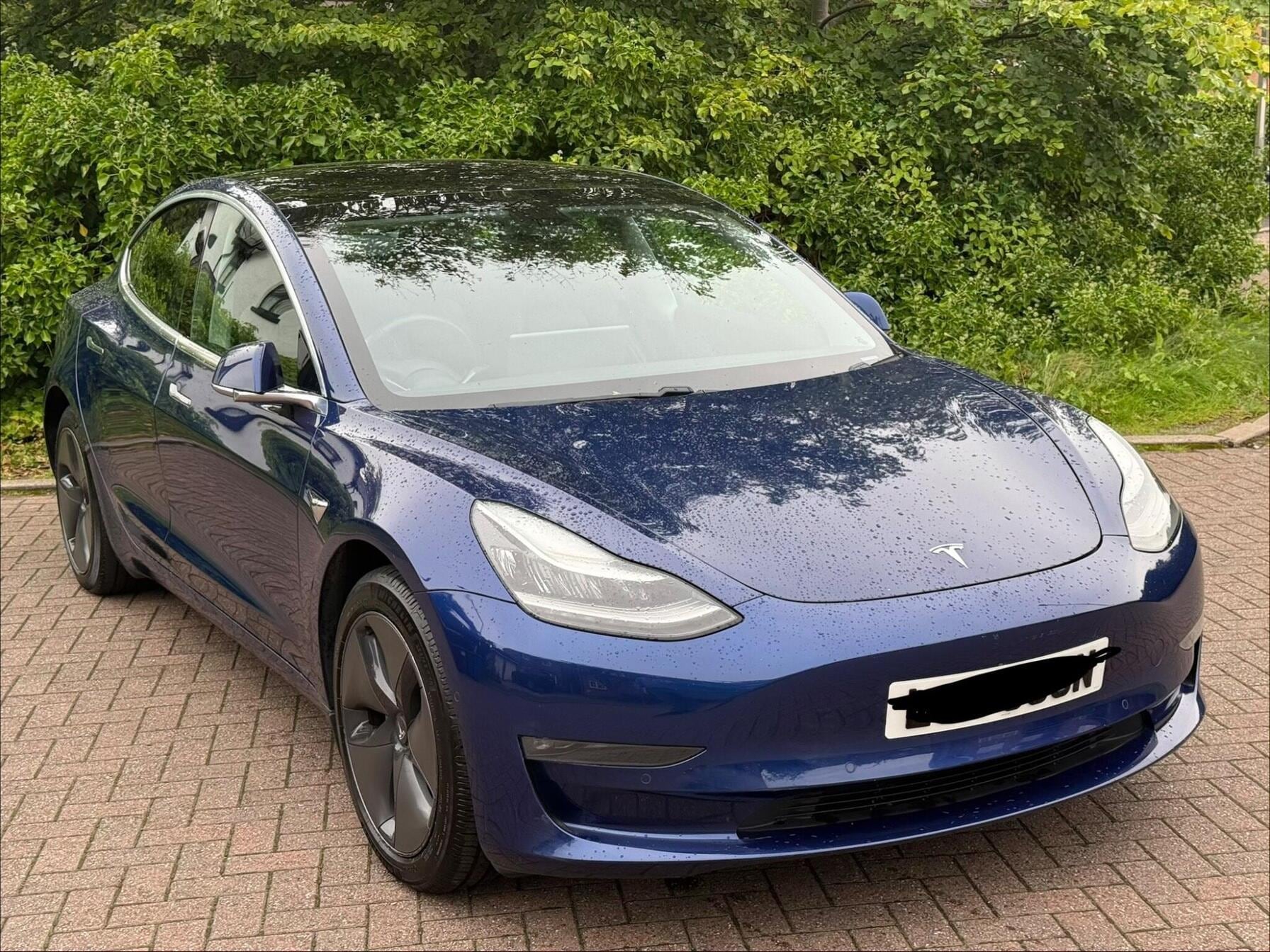 2019 Tesla model 3 rare