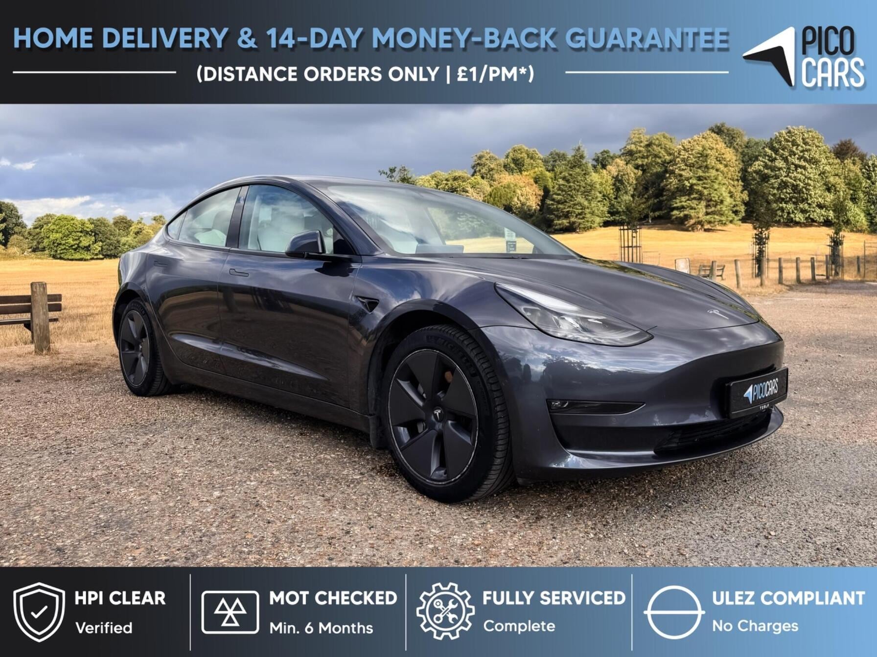 2021 Tesla model 3 dual